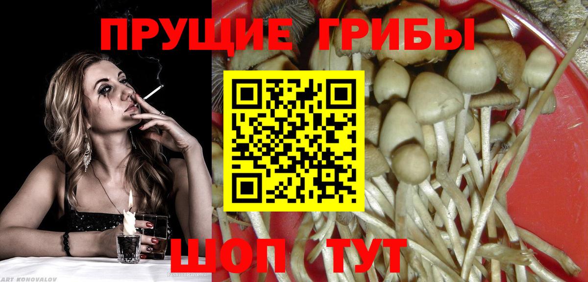 Псилоцибиновые грибы Cubensis  Вход с VPN  Великие Луки  наркотики  Галлюциногенные грибы Psilocybe 